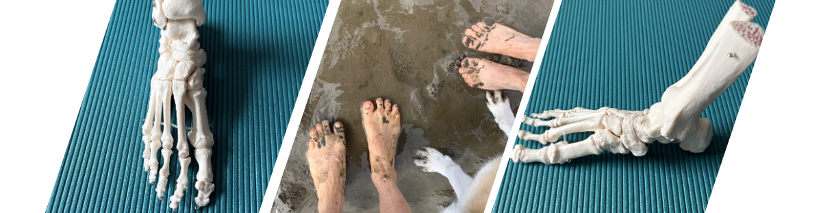 Gesunde Füße, starke Basis: Warum Fußtraining heute wichtiger denn je ist