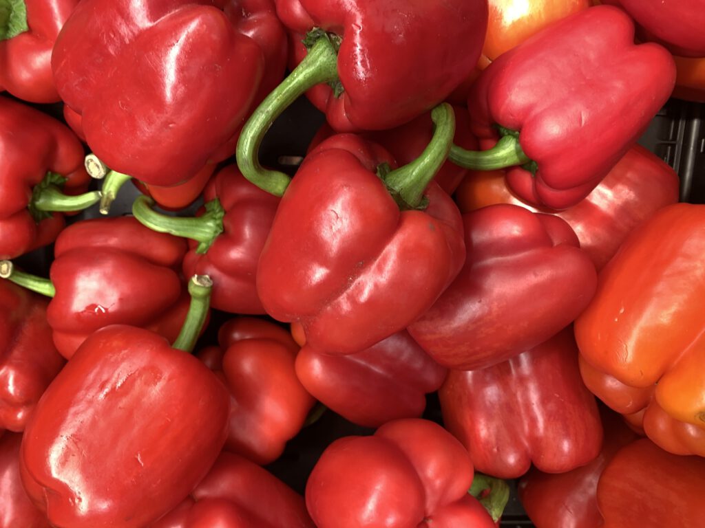 Paprika rot