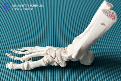 Gesunde Füße, starke Basis: Warum Fußtraining heute wichtiger denn je ist