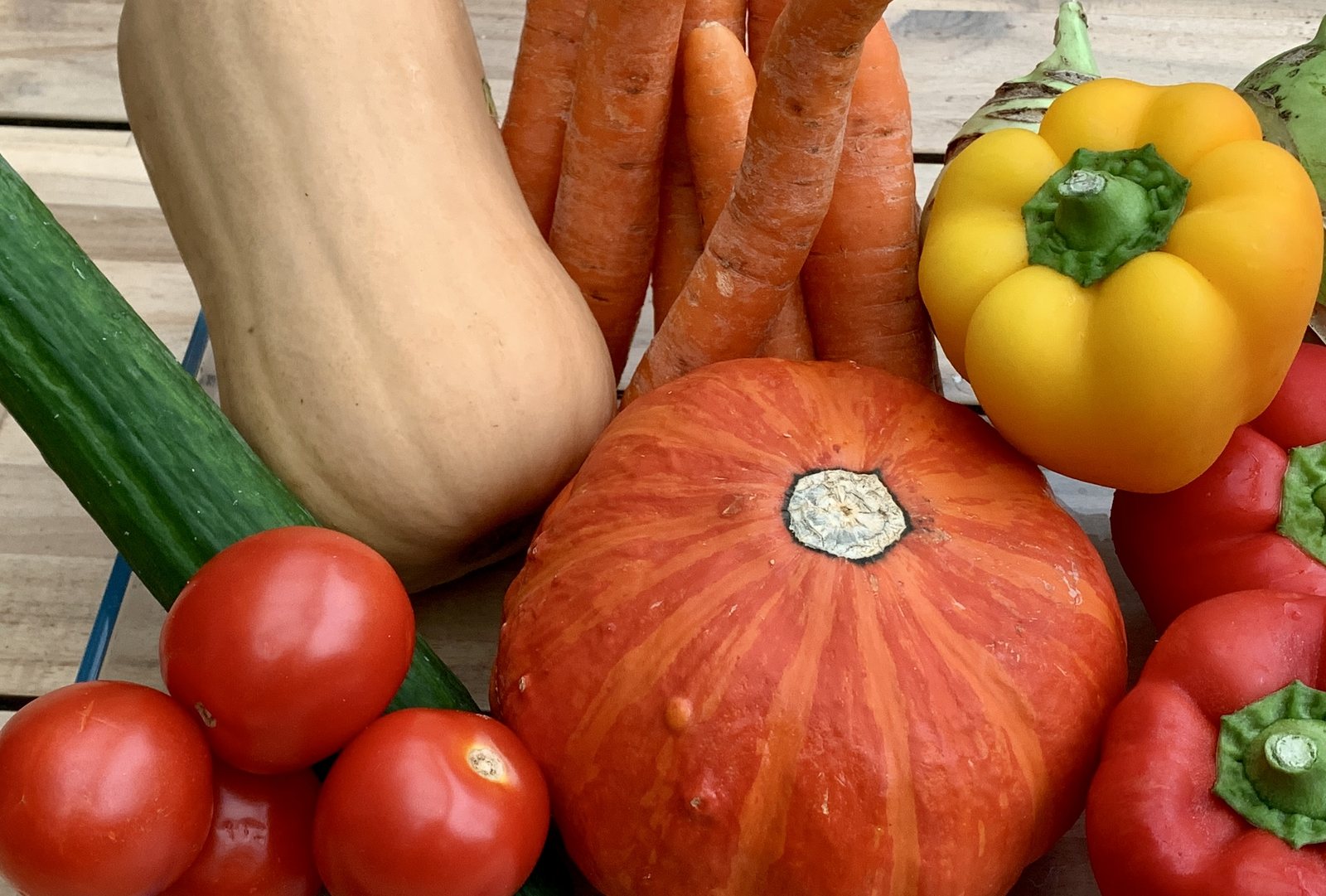 Buntes Gemüse mit Kürbis, Möhren, Paprika, Tomaten und Gurke als Beispiel für Vielfalt auf dem Teller, die Probiotika und Präbiotika im Darm unterstützt